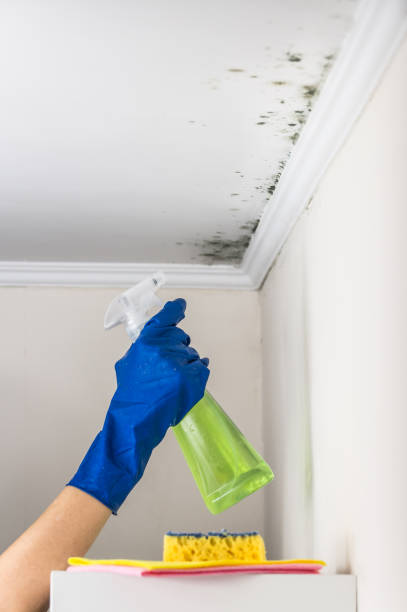 Water Damage Restoration in Christmas, FL